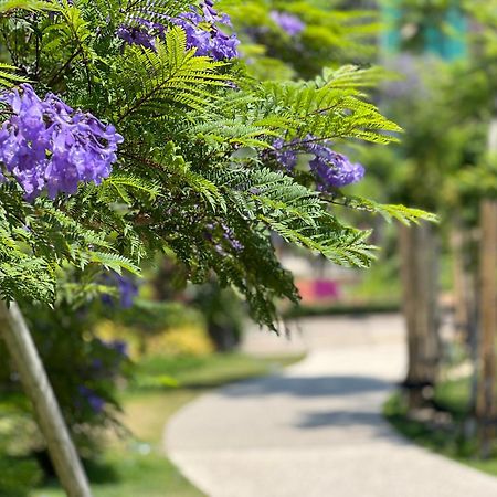 ゲストハウスあさひ Atami  Eksteriør bilde